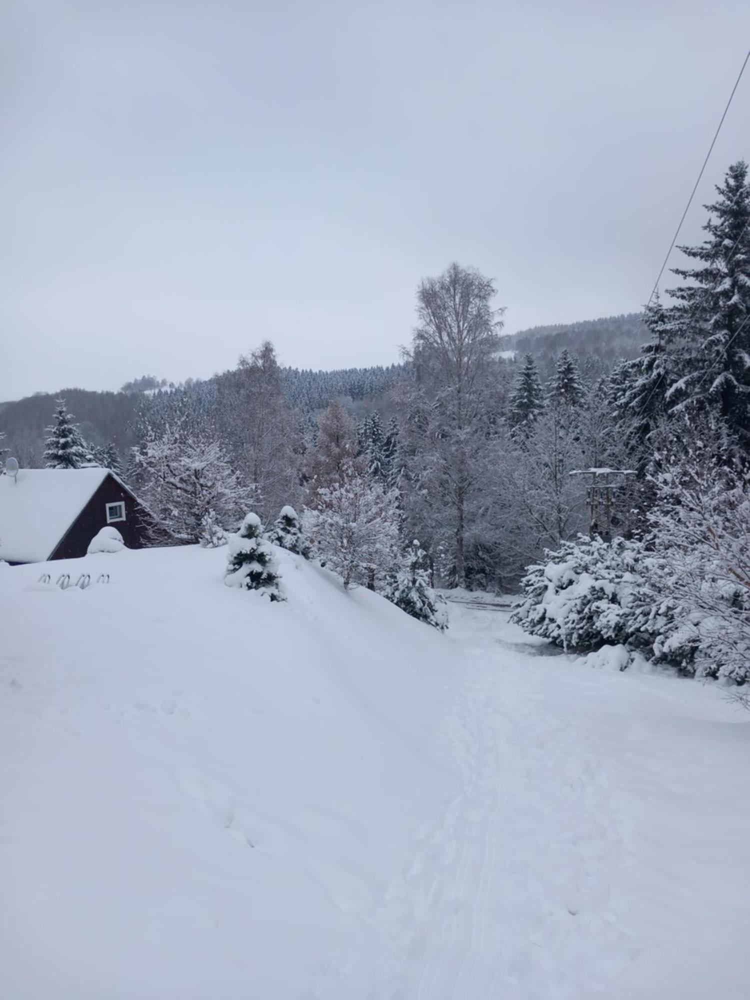 Villa Hygge Chaloupka V Horach Český Jiřetín Exterior foto